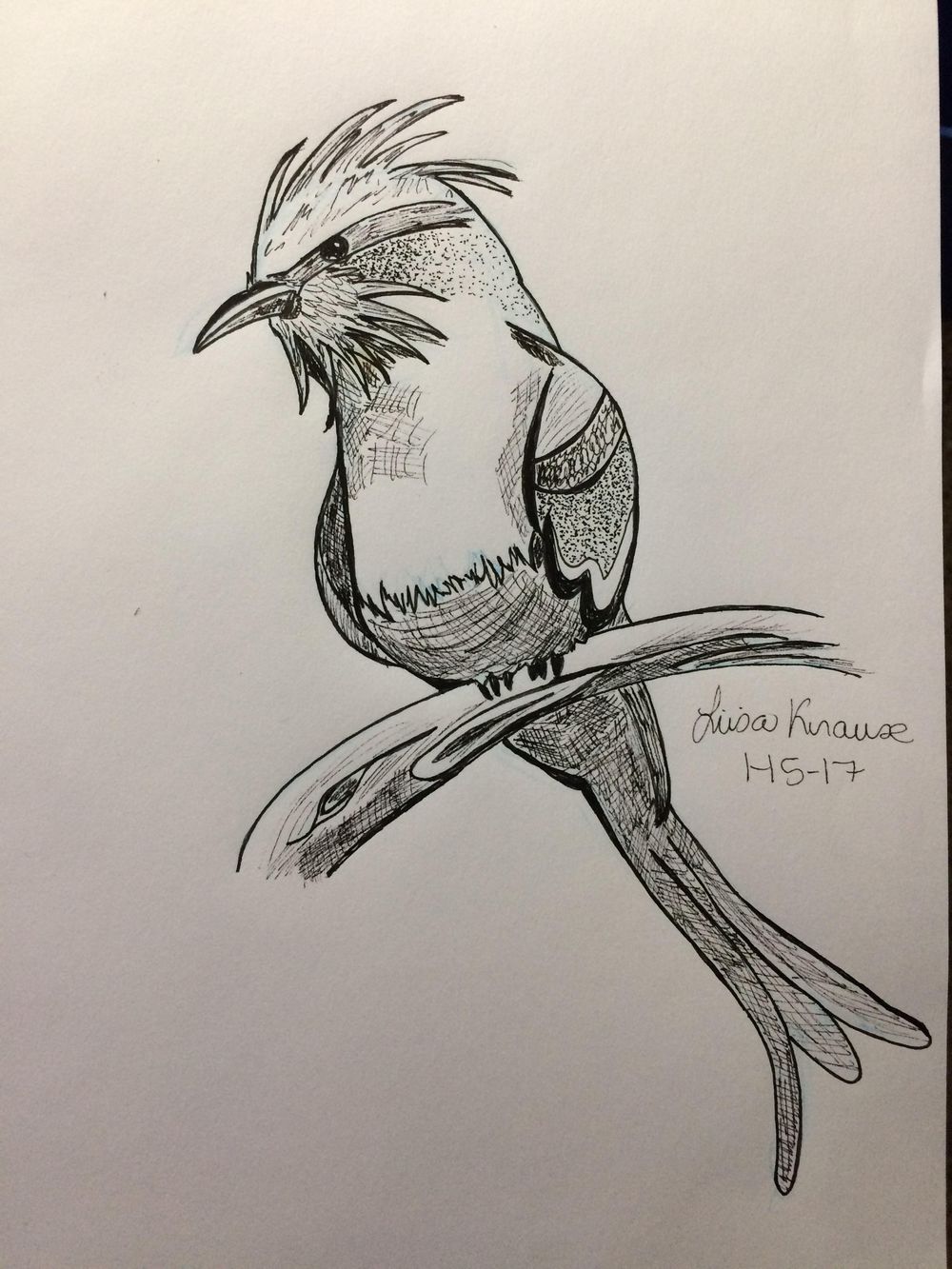 Getting Inky - image 4 - student project