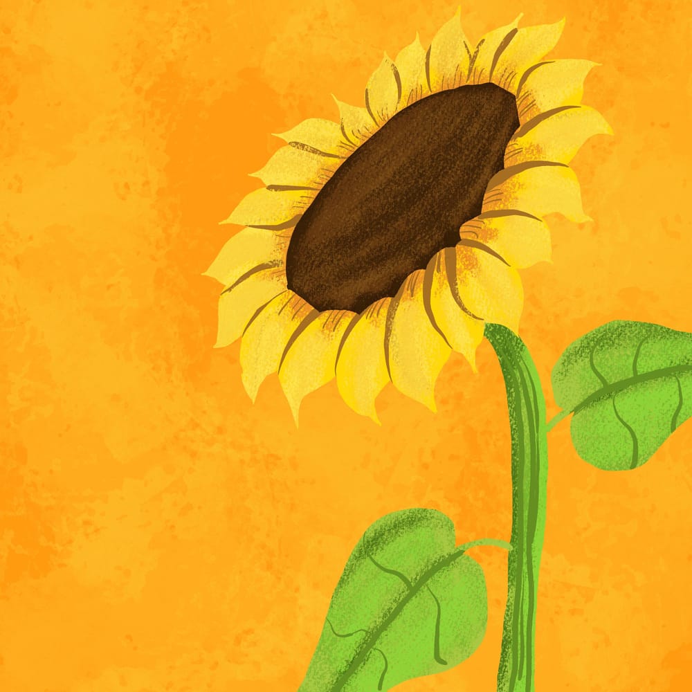 Steph’s progress - image 2 - student project