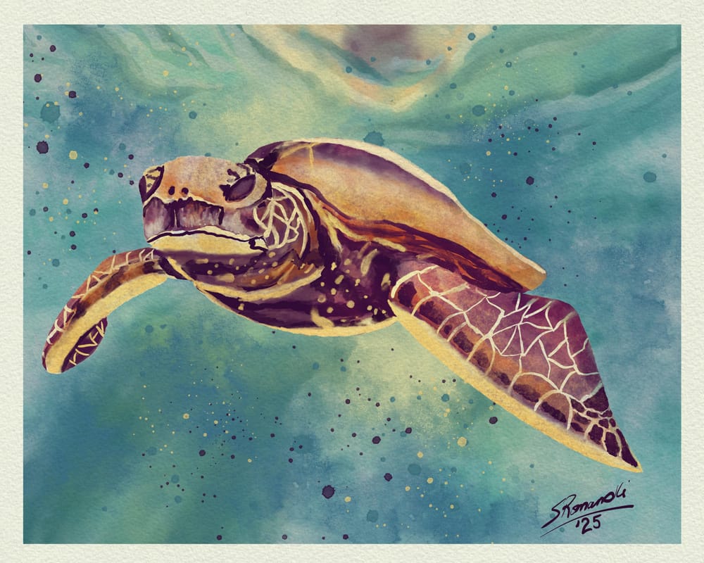 chickadee & turtle - image 1 - student project