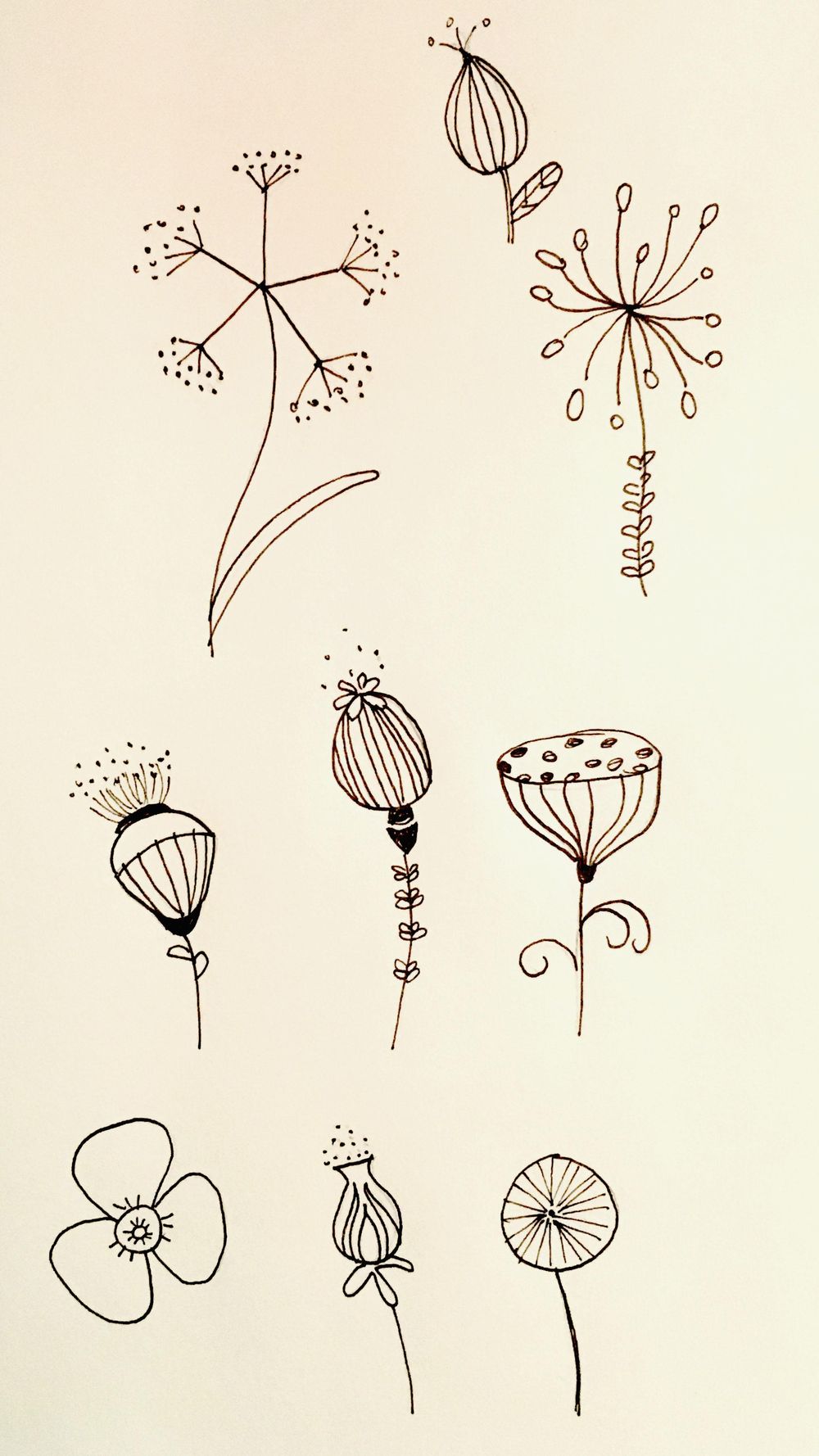 My Florals - image 1 - student project