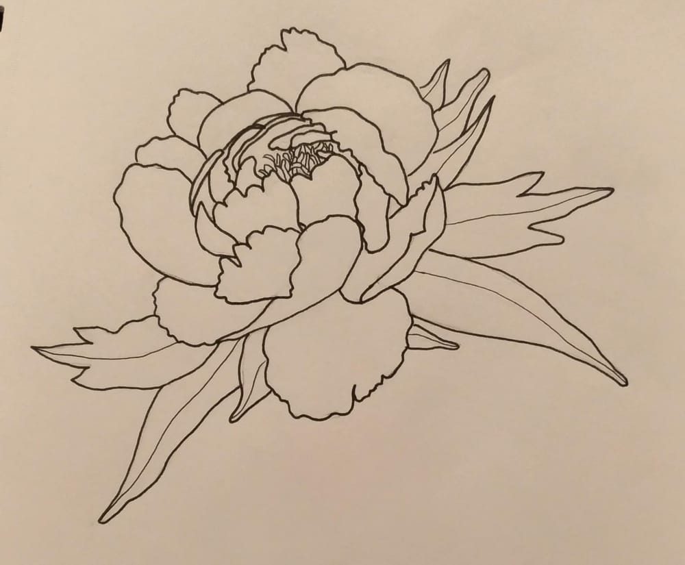 Peony Drawing - image 2 - student project