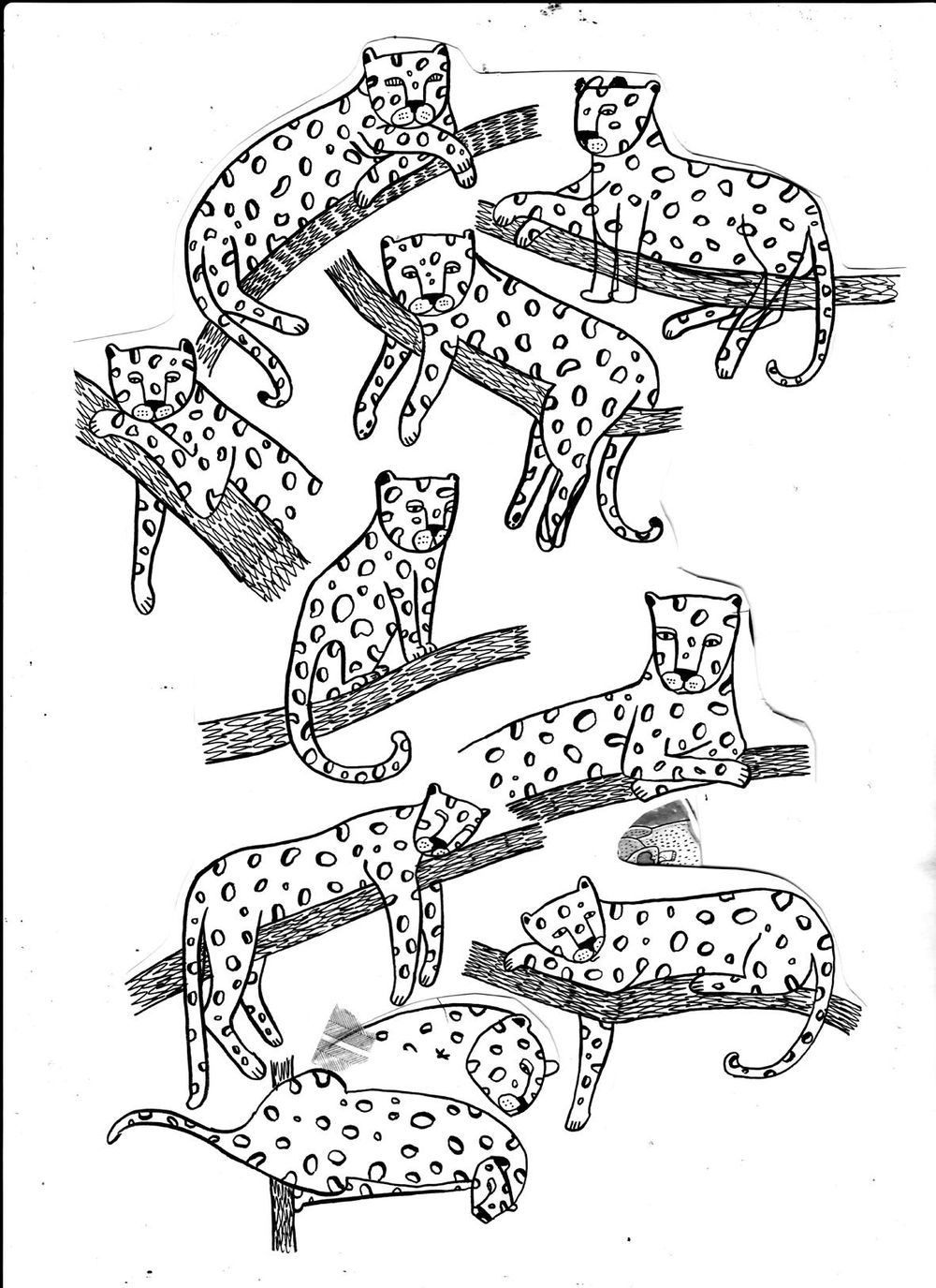Lazy leopards - image 2 - student project