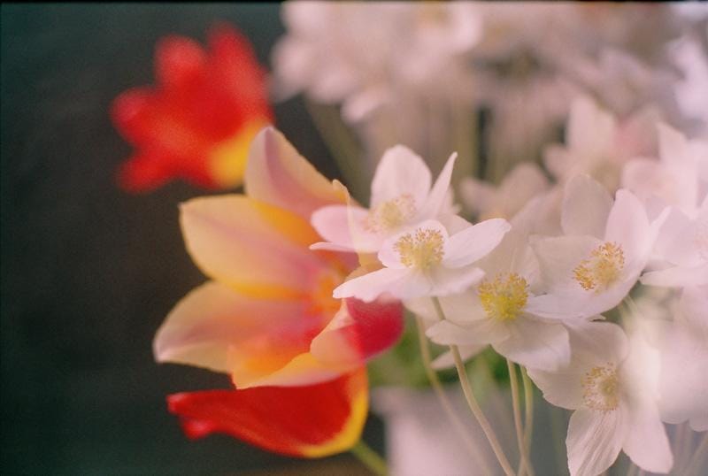 Multiple and long exposures with my friend - image 2 - student project