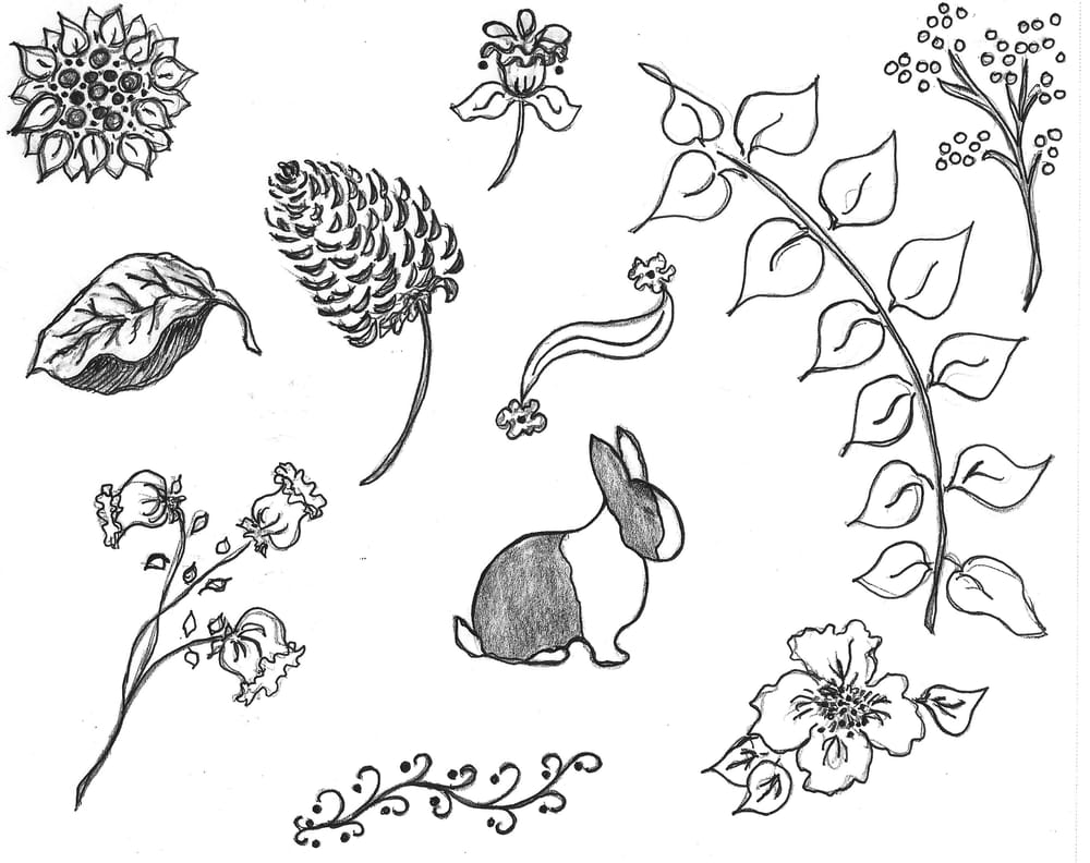 Bunnies & Blossoms - image 1 - student project