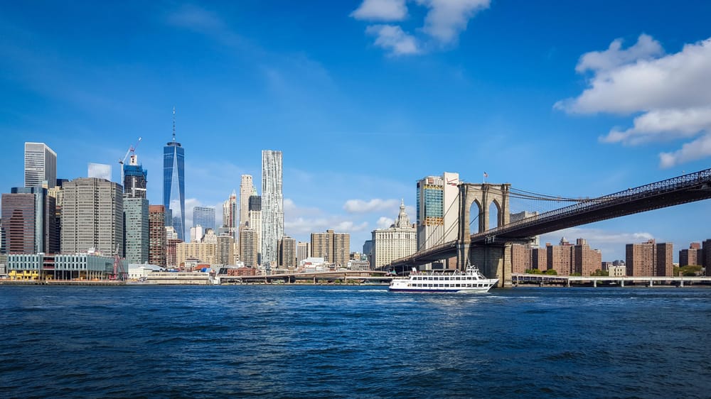Arlo & NYC - image 4 - student project