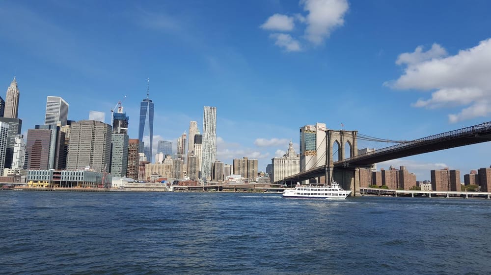 Arlo & NYC - image 3 - student project
