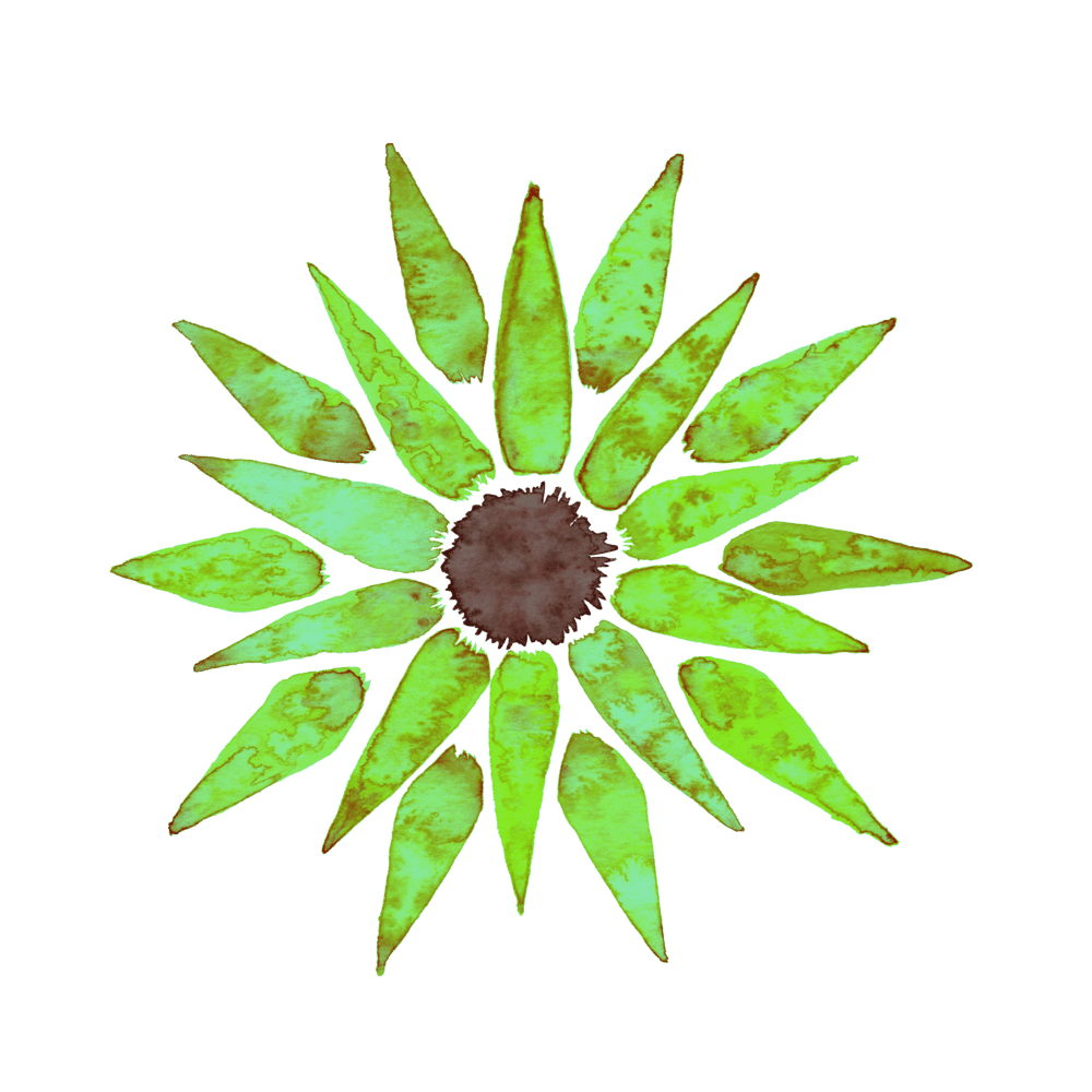 Sunflower Variants - image 5 - student project