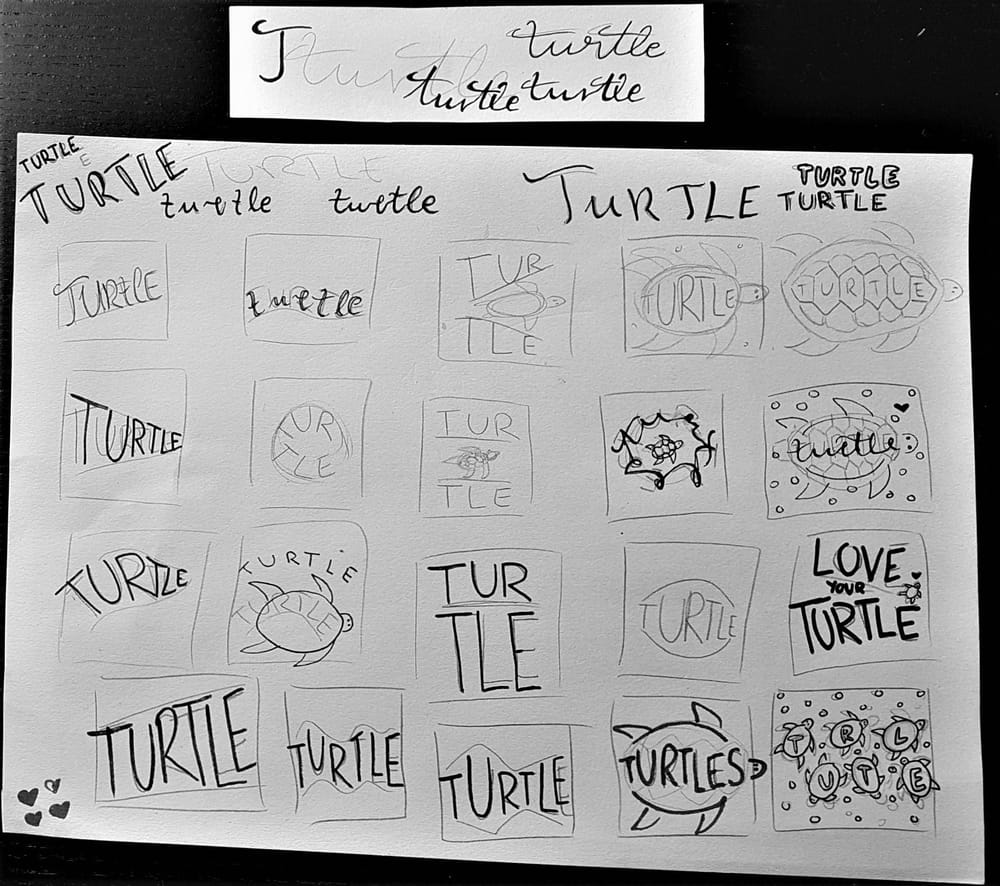 Turtles!!! - image 1 - student project