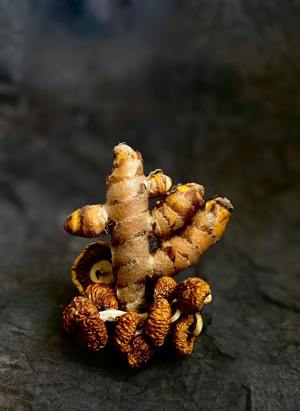 Product photography using iphone - image 1 - student project