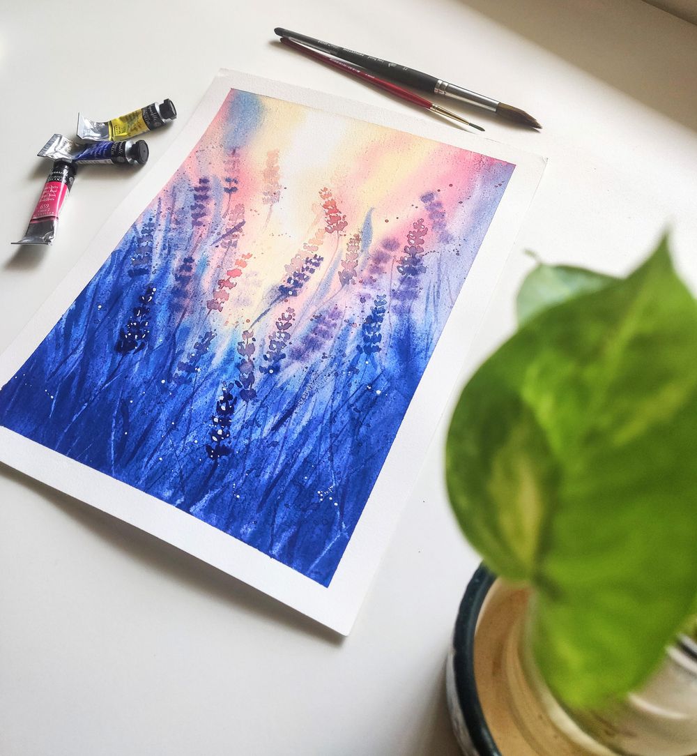 Sunlit Lavender fields - image 2 - student project
