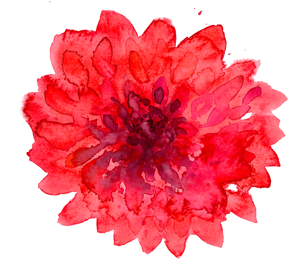 Dahlias Painterly style - image 1 - student project