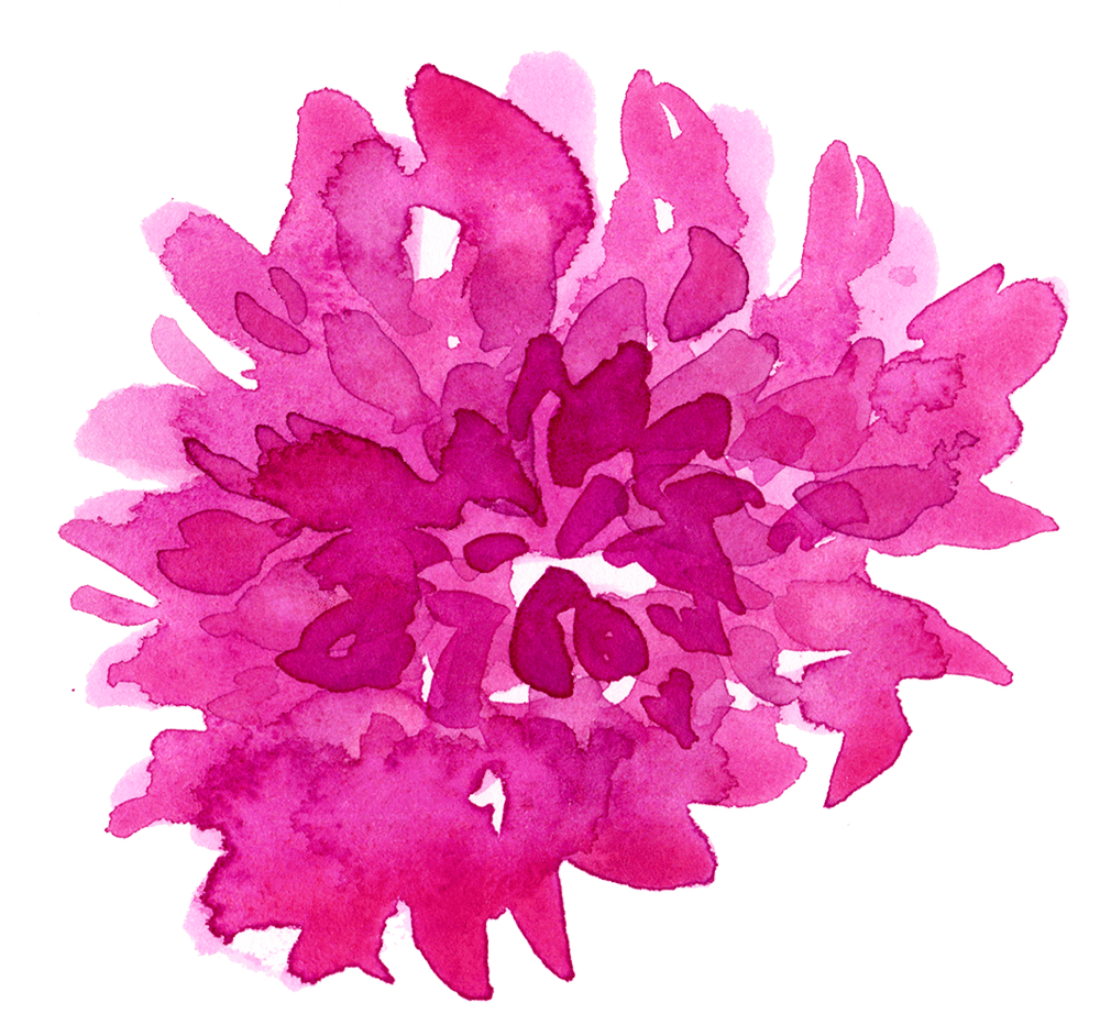 Dahlias Painterly style - image 2 - student project