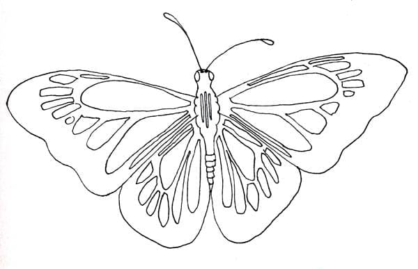 Monarch - image 2 - student project