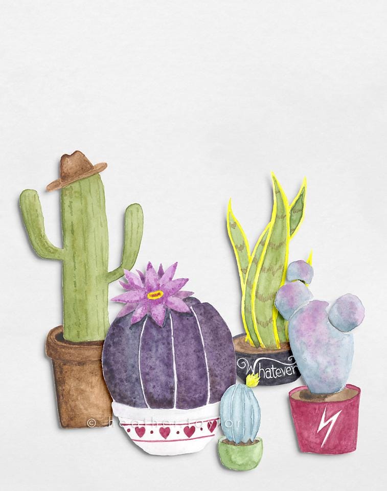 Succulent Family - image 1 - student project