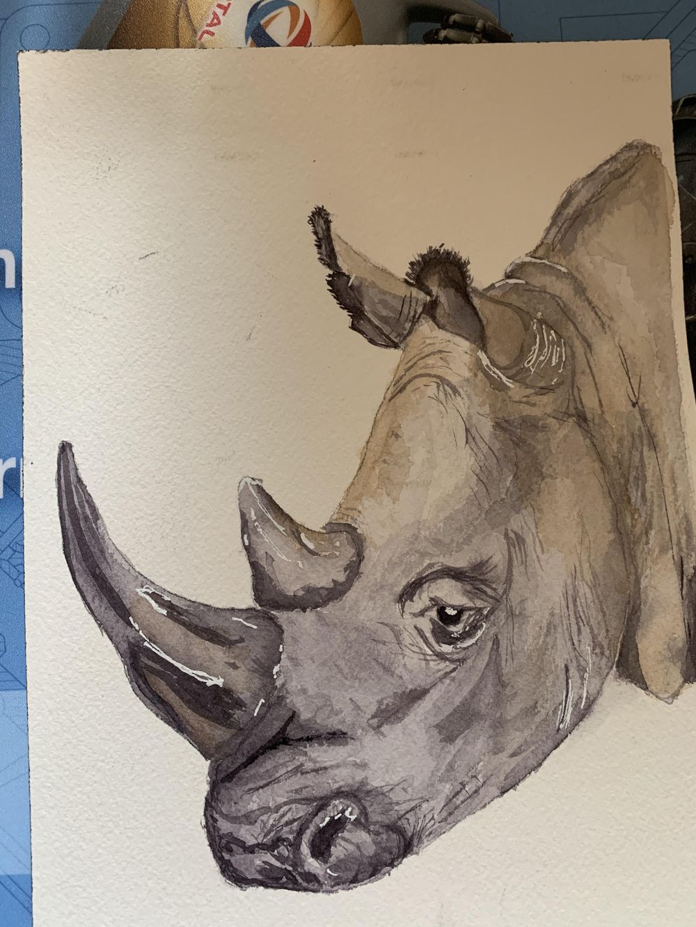 Rhino from Mastering Water Control Skillshare Student Project