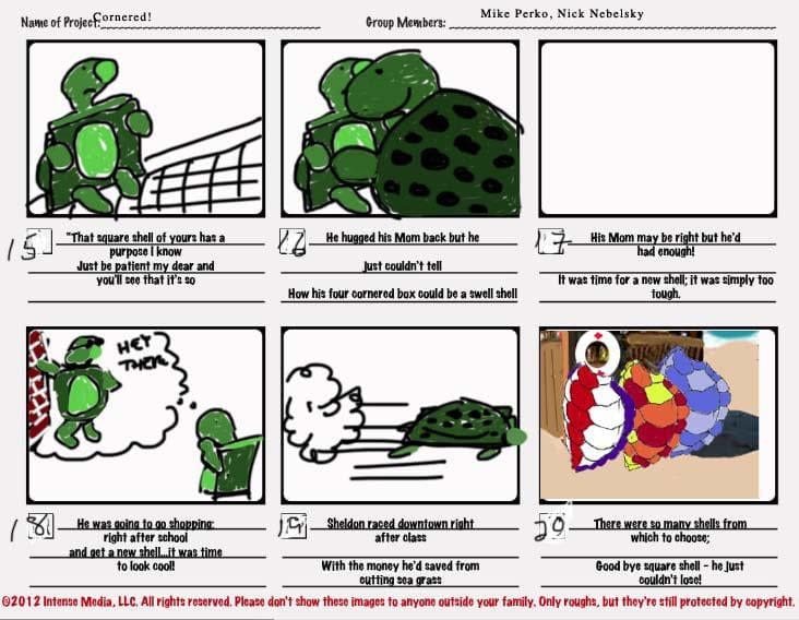 Cornered! The story of a turtle with a "Square Shell." - image 3 - student project