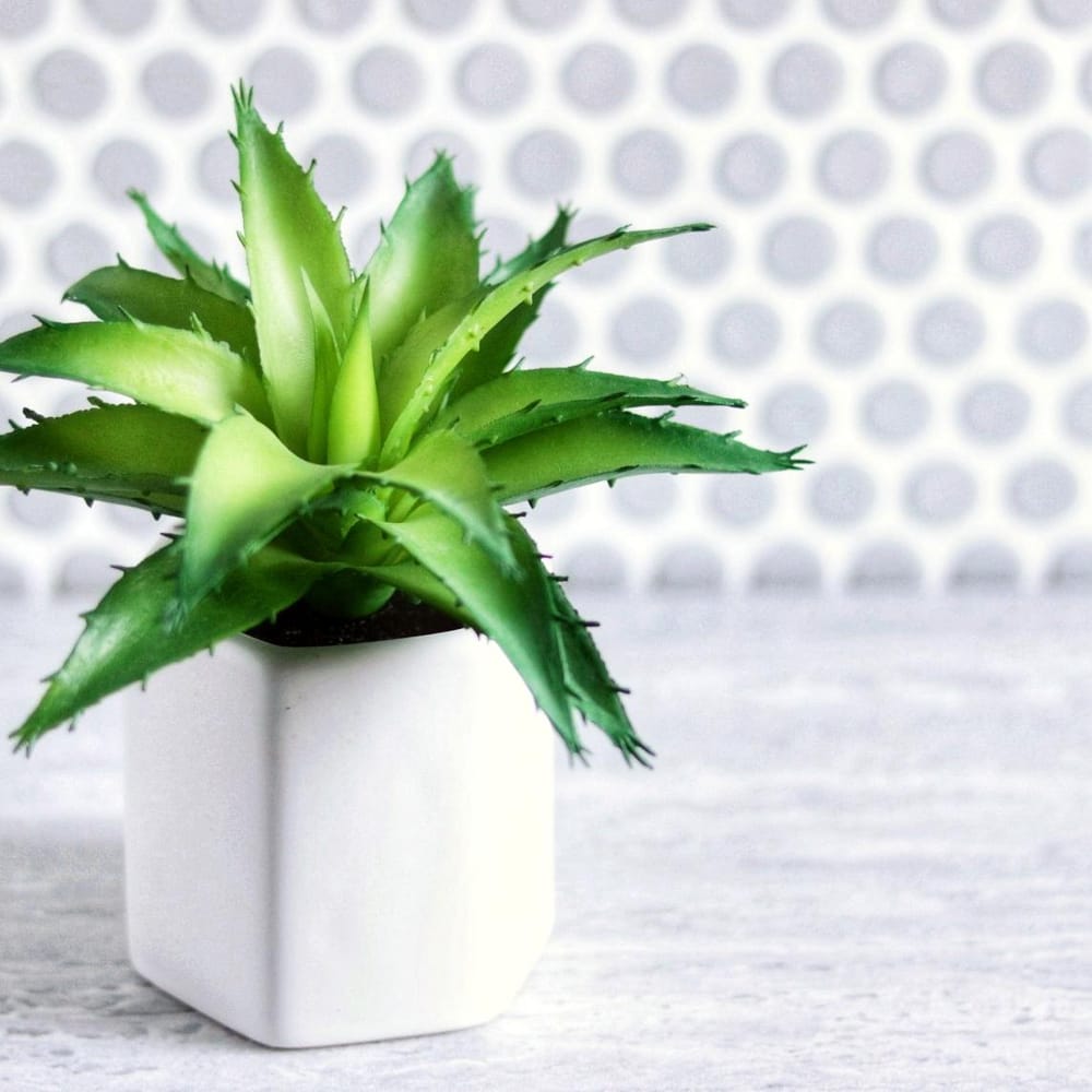 DIY Penny Tile Backdrop - image 1 - student project