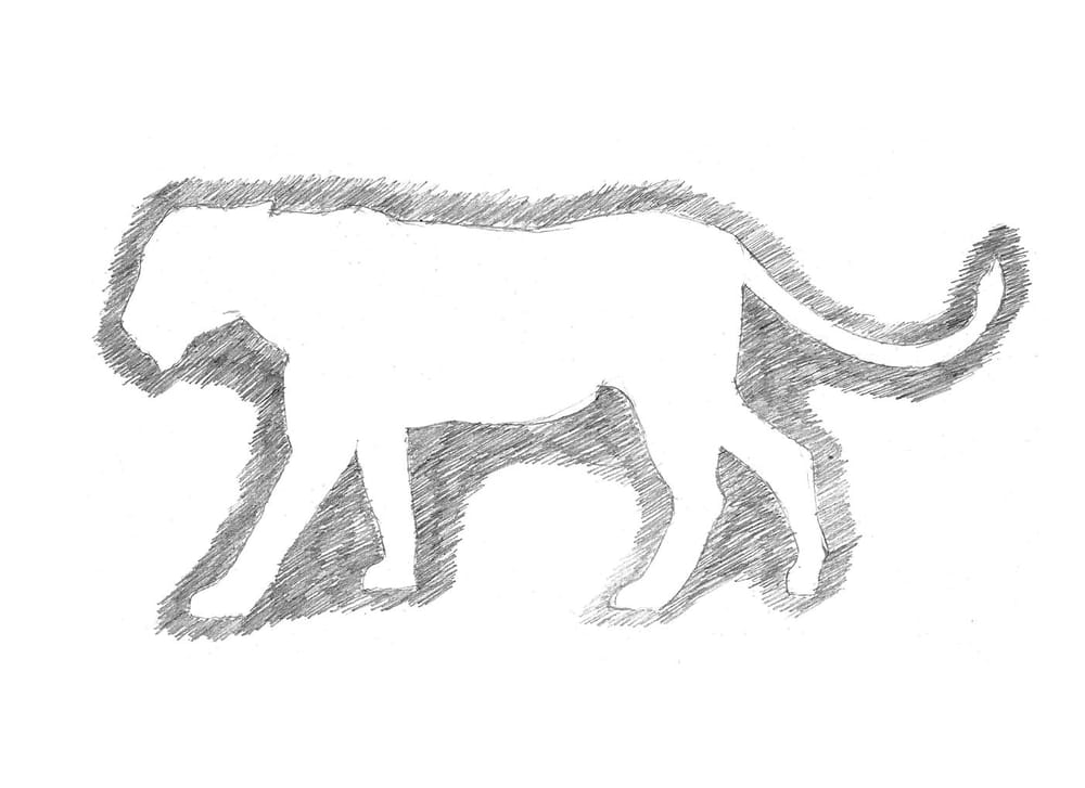 Project: Animal Drawing - image 1 - student project