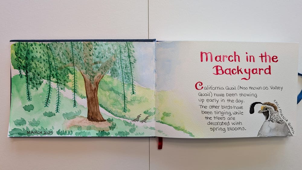 Nature Journal - image 2 - student project