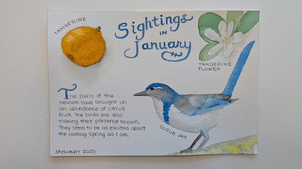 Nature Journal - image 1 - student project