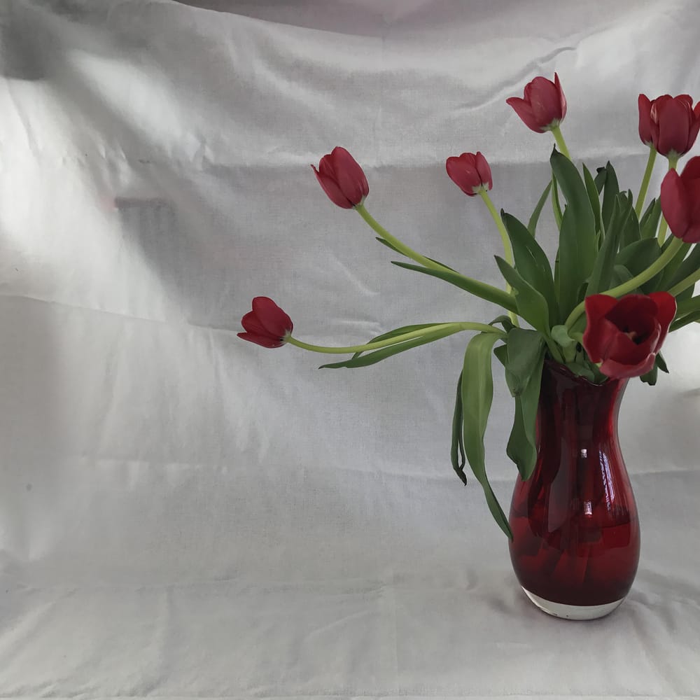 Red Tulips - image 2 - student project