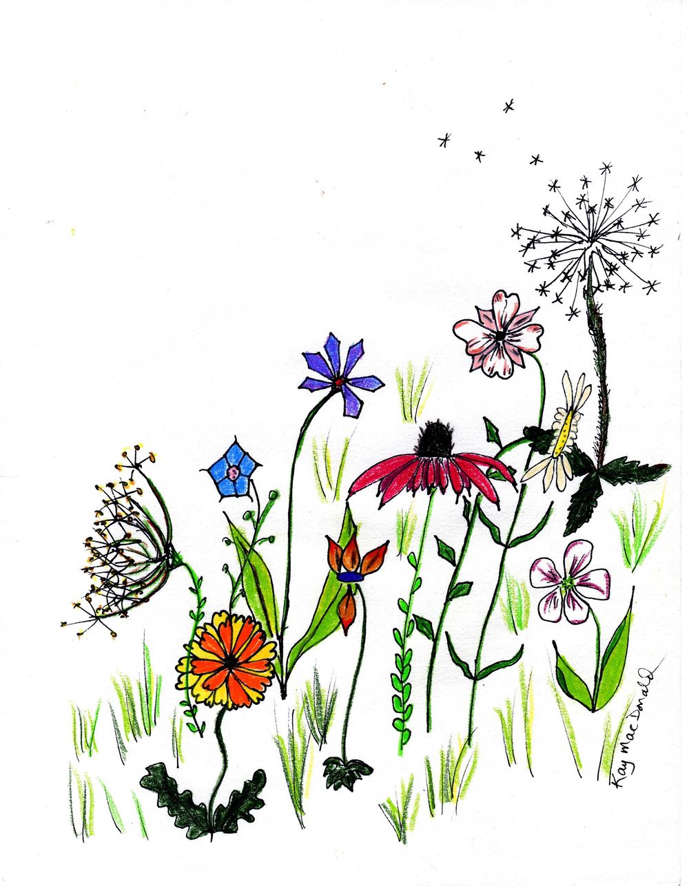 Whimsy slope - image 1 - student project