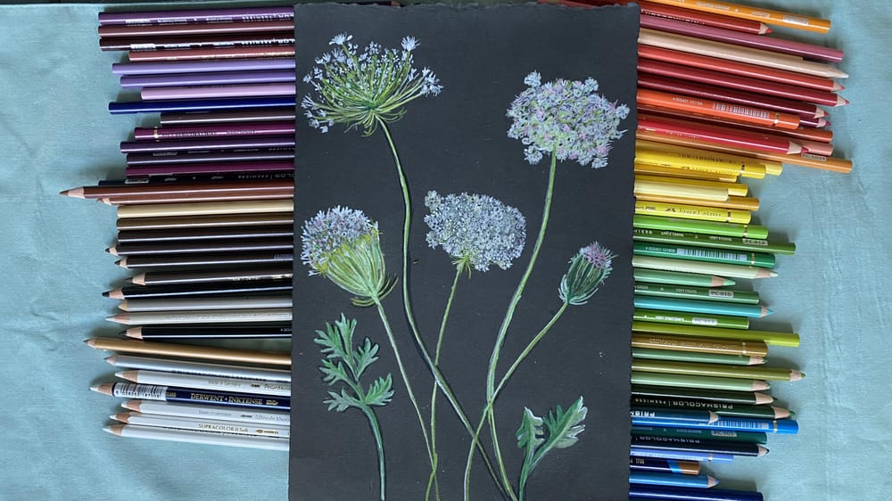 A Day with Dandelions (and Kendyll) - image 2 - student project