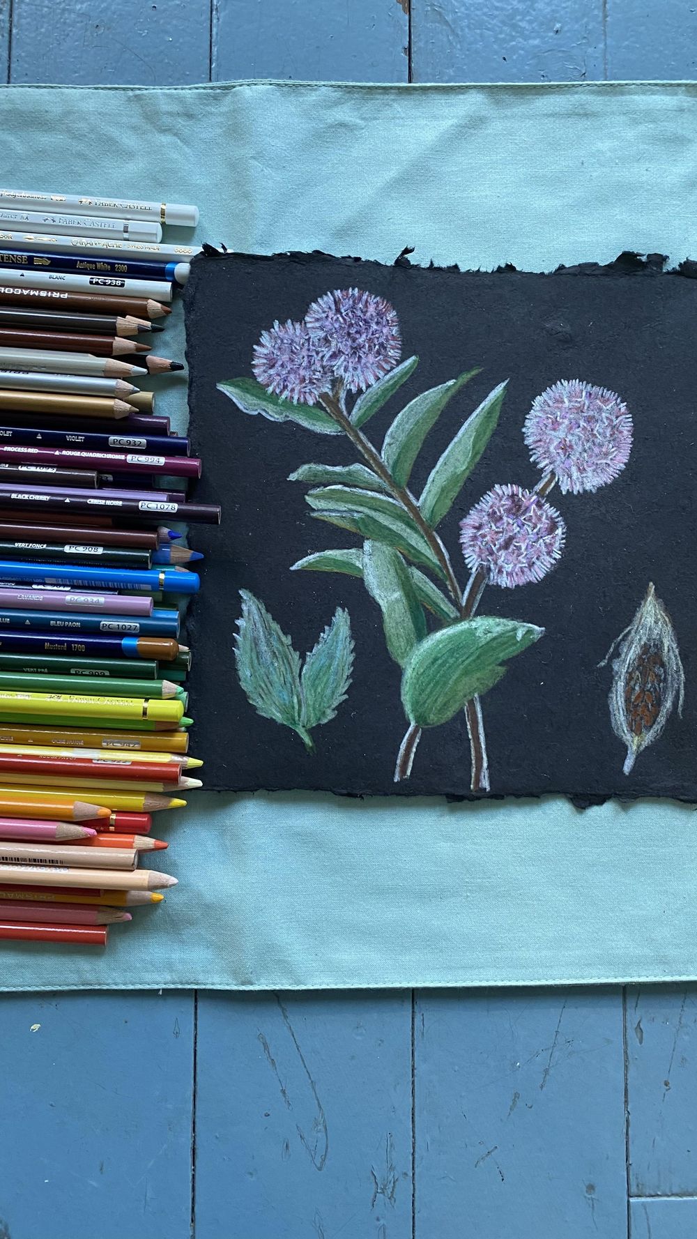 A Day with Dandelions (and Kendyll) - image 1 - student project
