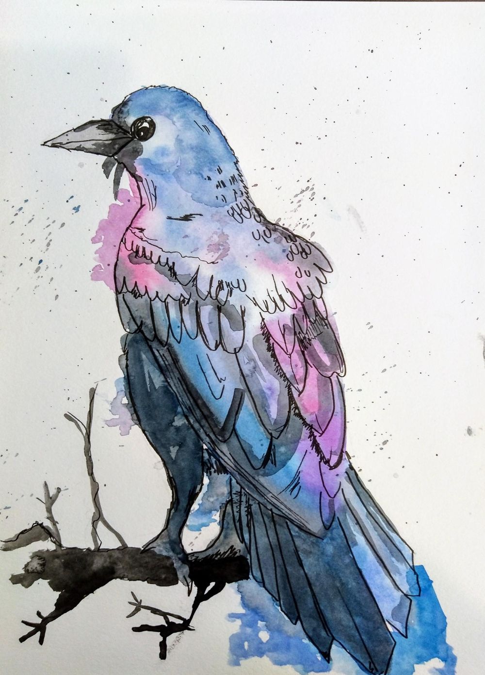 Raven Illustration in a relaxing line and watercolour wash technique - image 1 - student project