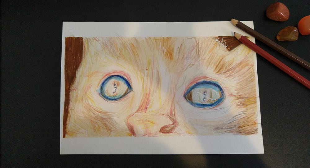 Colored Pencil Drawing Technique: Blending with Solvent - image 1 - student project