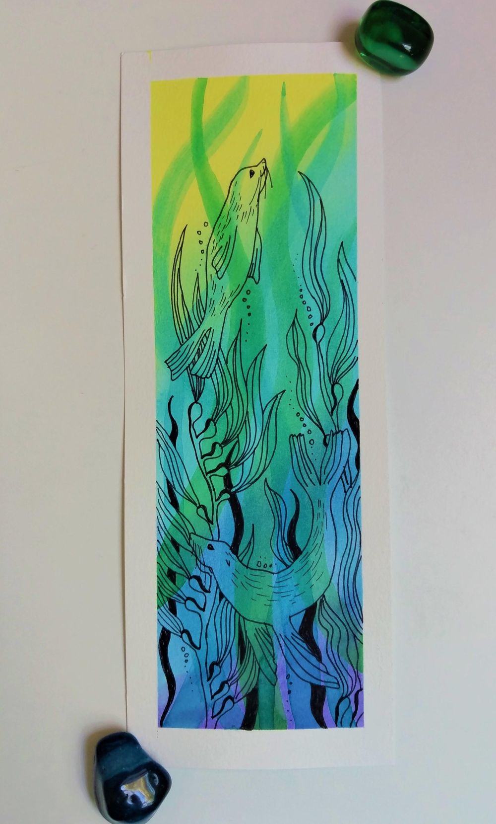 Seal in a Kelp Forest & Orca - image 1 - student project