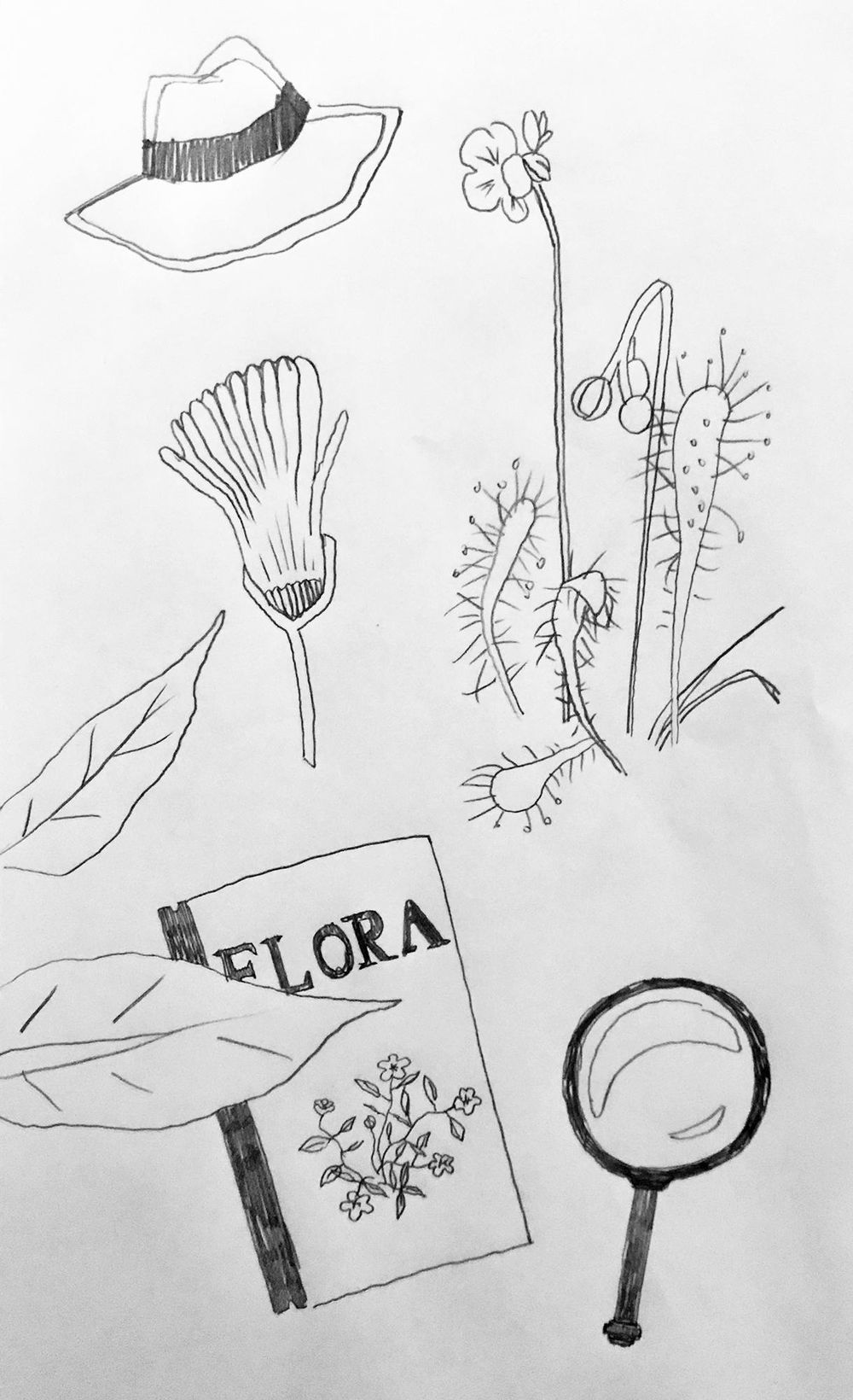 Tools of a botanist Skillshare Student Project