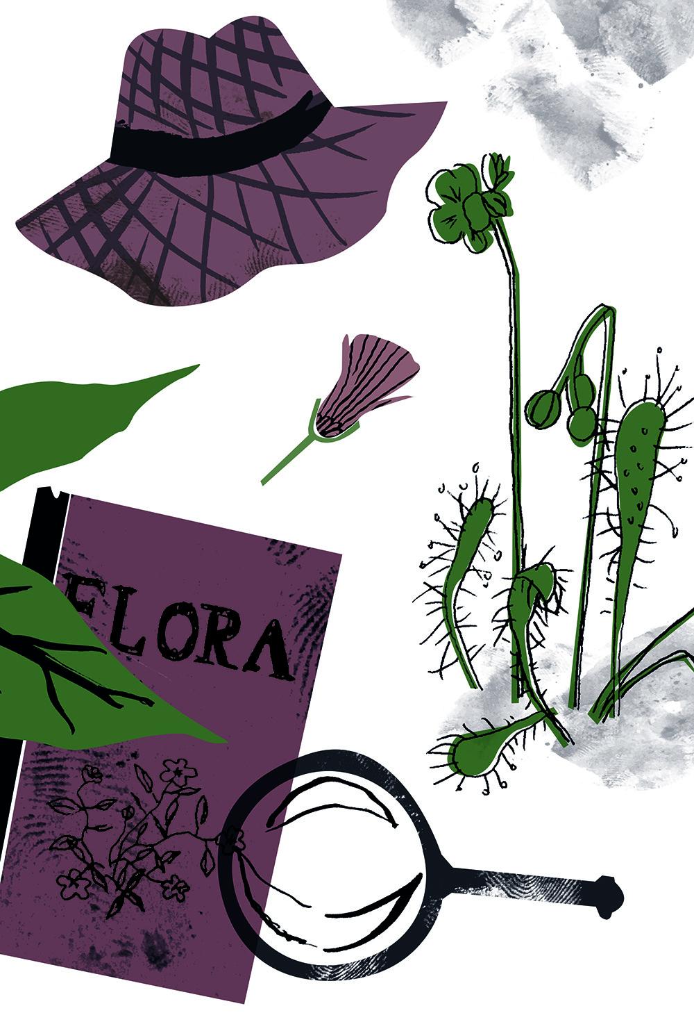 Tools of a botanist Skillshare Student Project