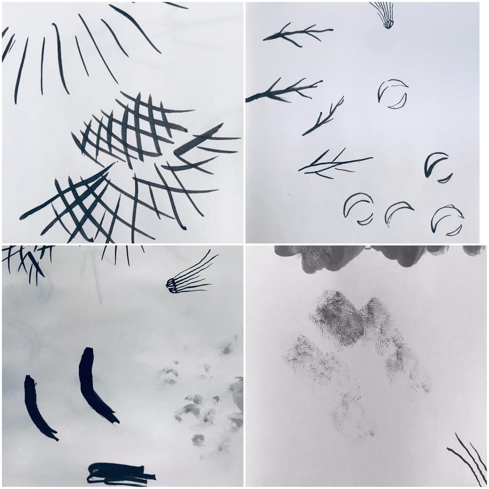 Tools of a botanist Skillshare Student Project