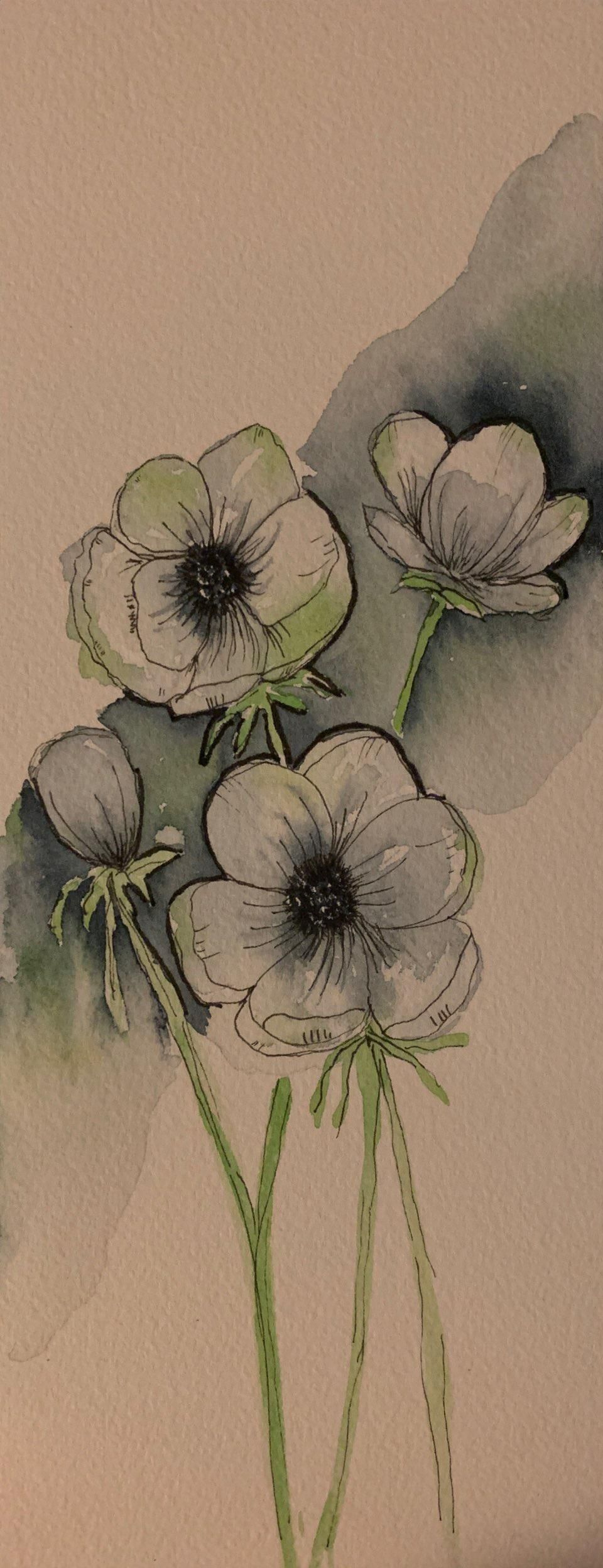 Anemones - Florals - image 2 - student project