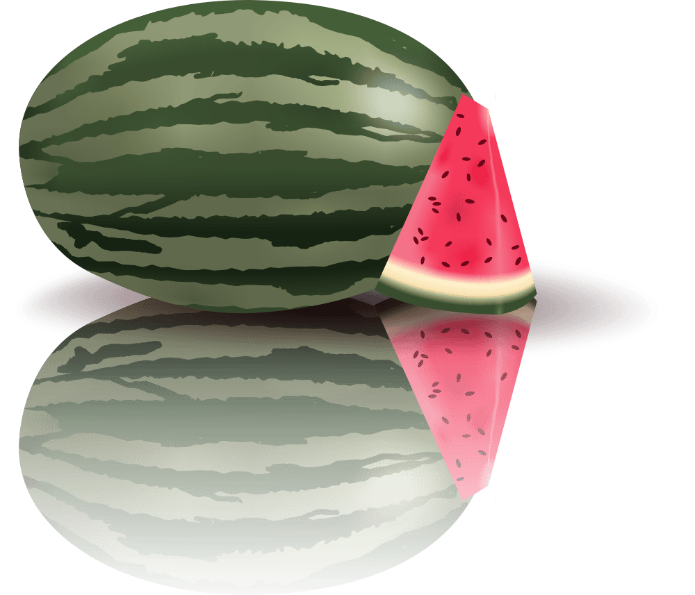 Vector Studies - image 9 - student project