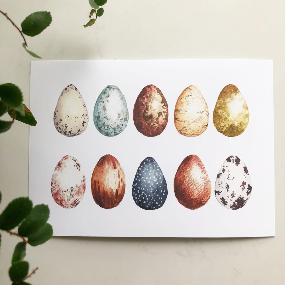 Learning Texture with Bird Eggs - image 1 - student project