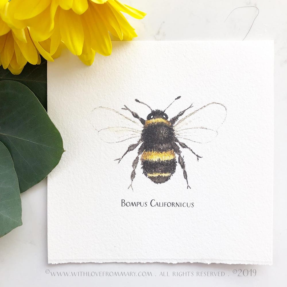 A Bee 3 Ways - image 2 - student project