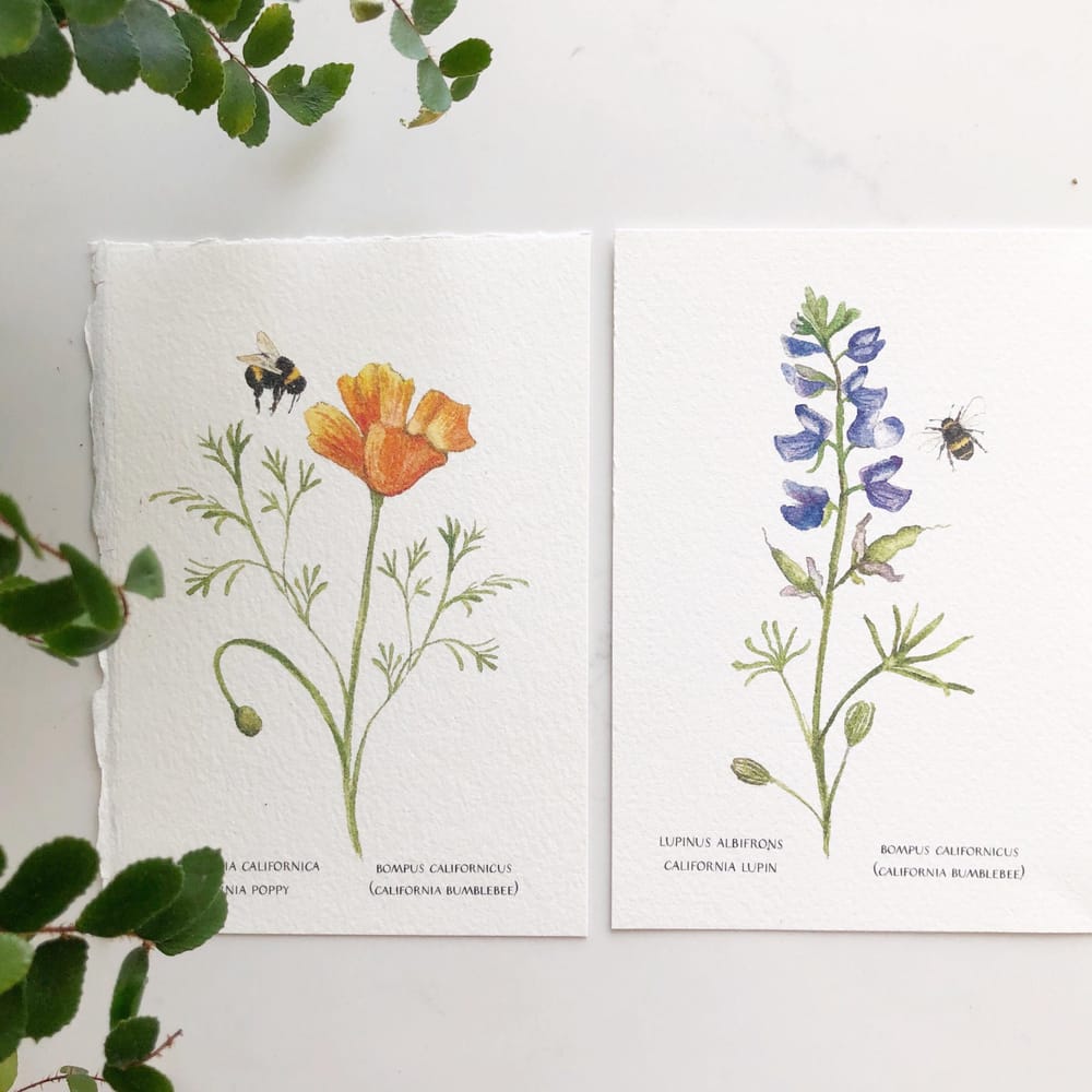 A Bee 3 Ways - image 3 - student project