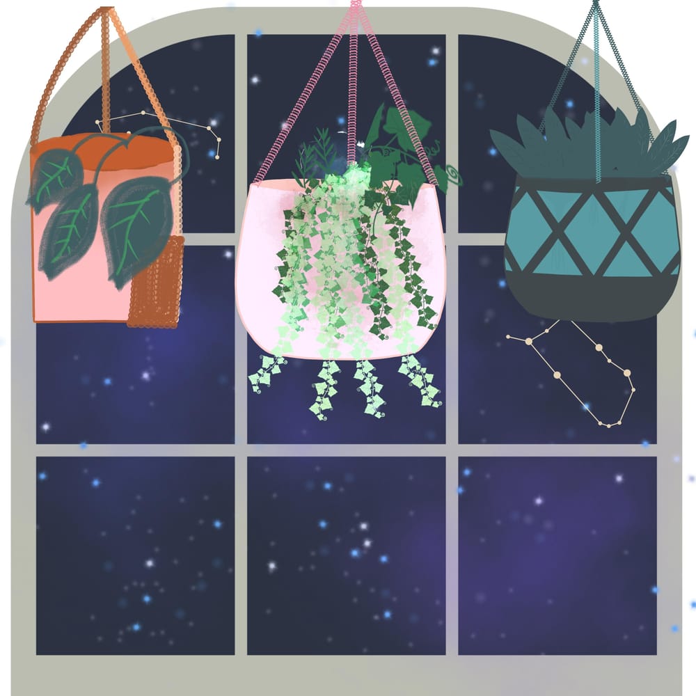 Macrame hanging pots - image 1 - student project