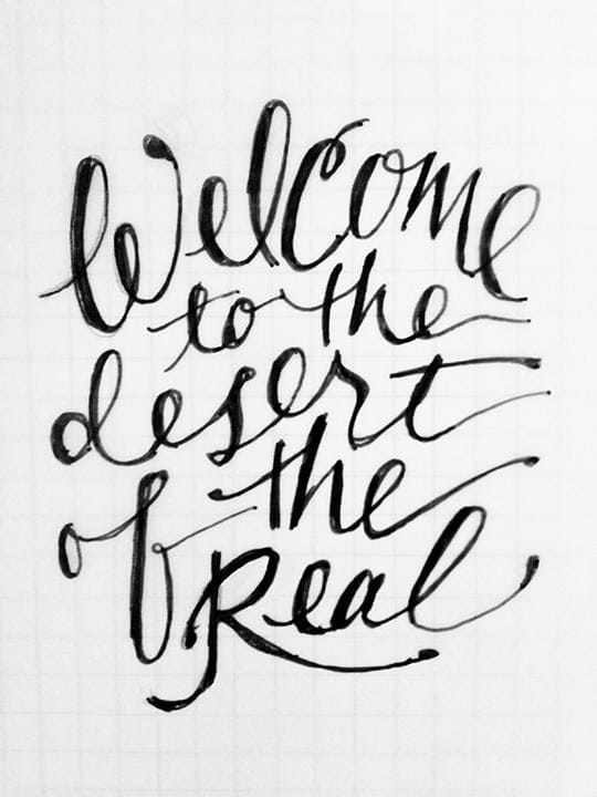 Welcome to the Desert of the Real (Baudrillard quote) - image 1 - student project