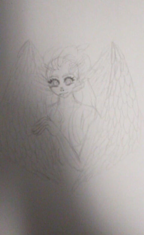 Dove Lady? - image 2 - student project