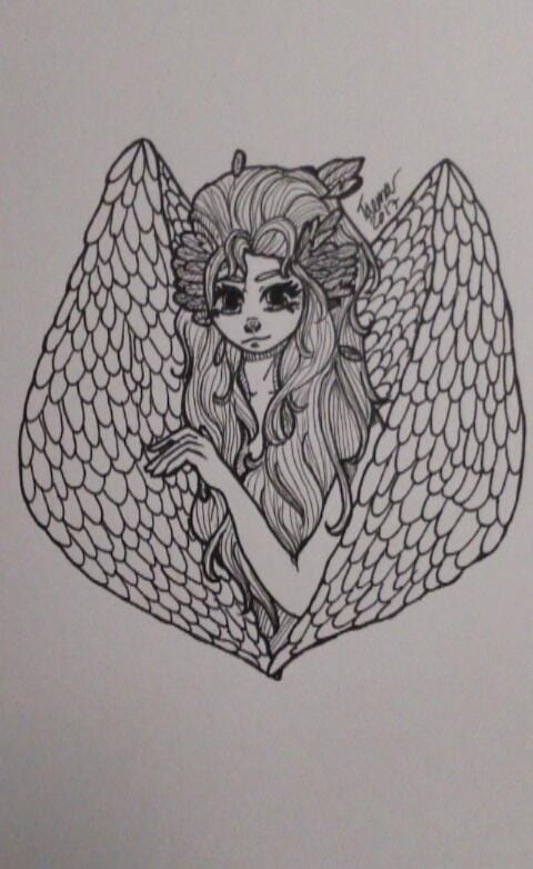 Dove Lady? - image 3 - student project