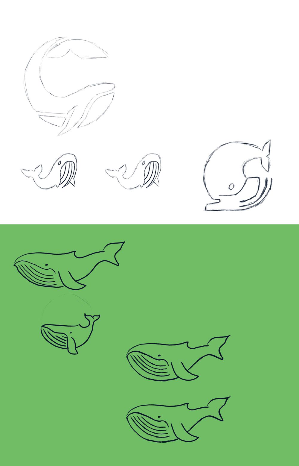 black-whale-logo-skillshare-student-project