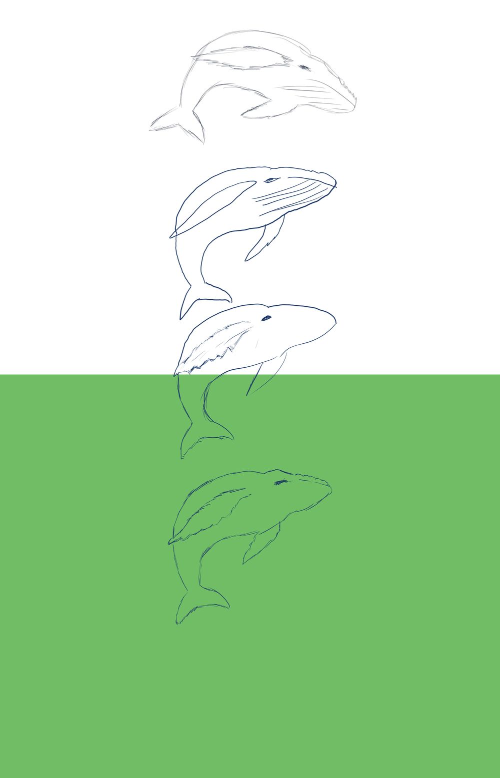 black-whale-logo-skillshare-student-project
