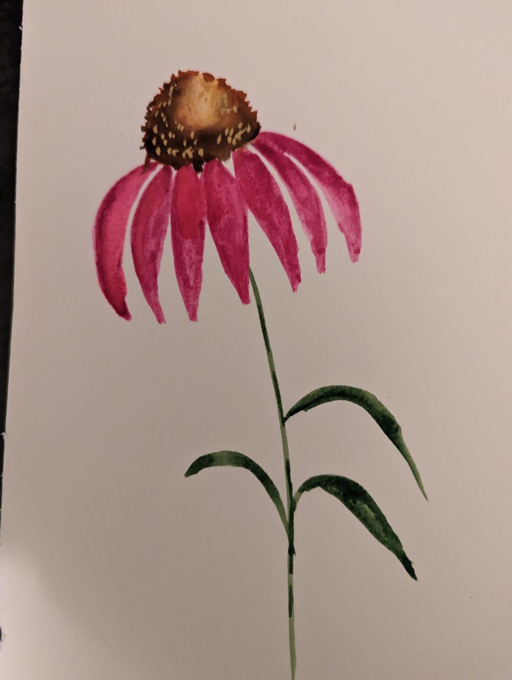 Coneflower - image 3 - student project