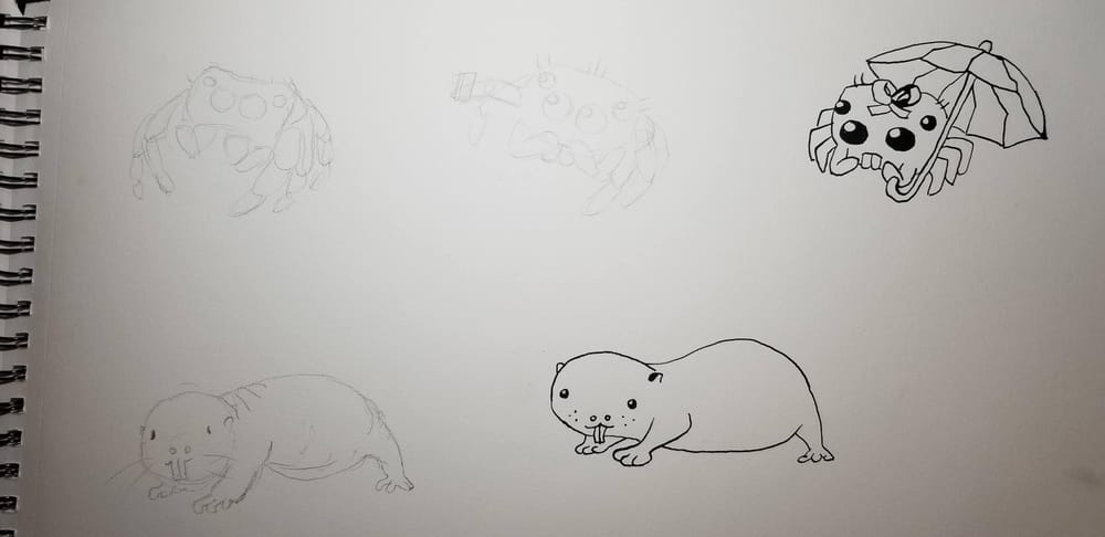Adorable Mole Rats and Jumping Spiders - image 4 - student project