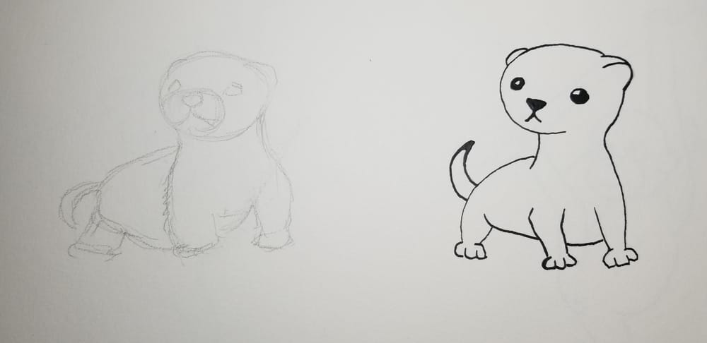 Adorable Mole Rats and Jumping Spiders - image 1 - student project
