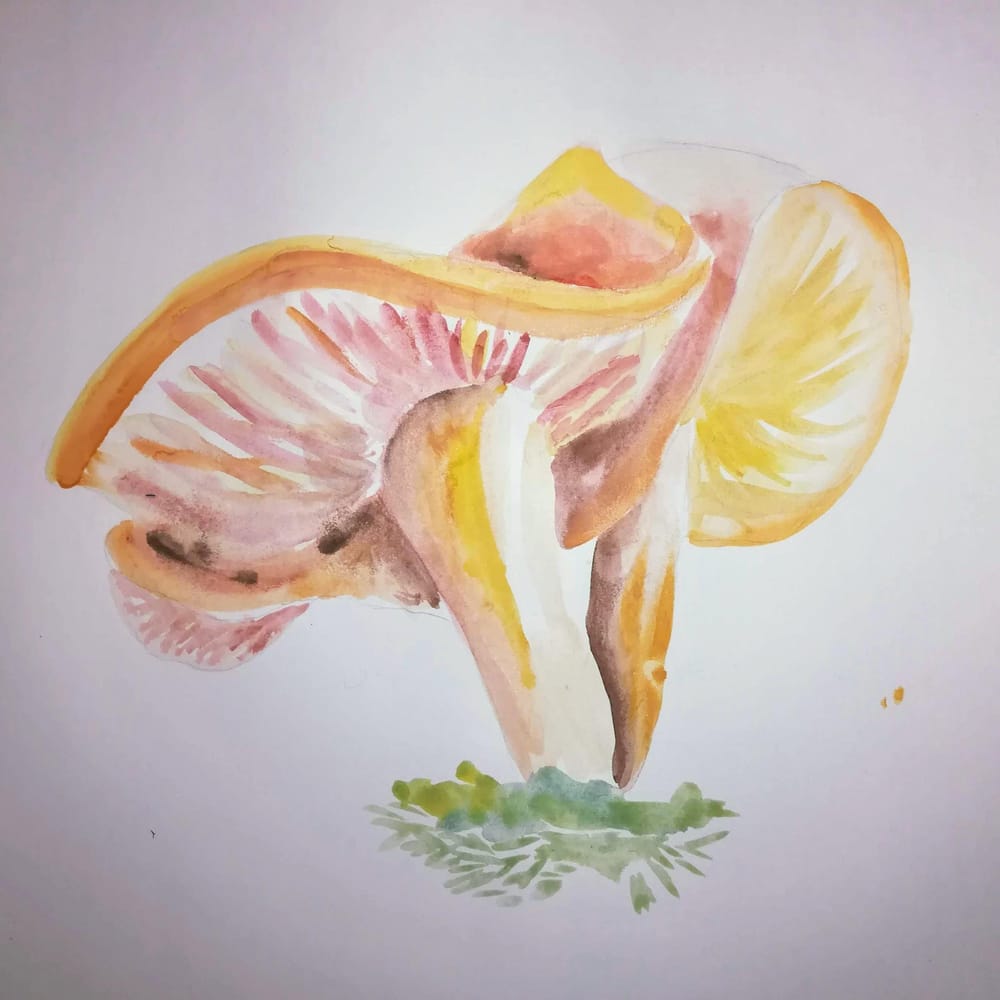 Squiggles and eventual mushrooms - image 4 - student project