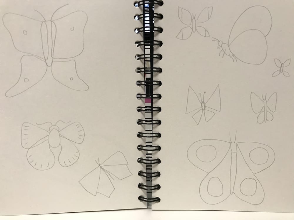 Drawing Butterflies in Illustrator - image 1 - student project